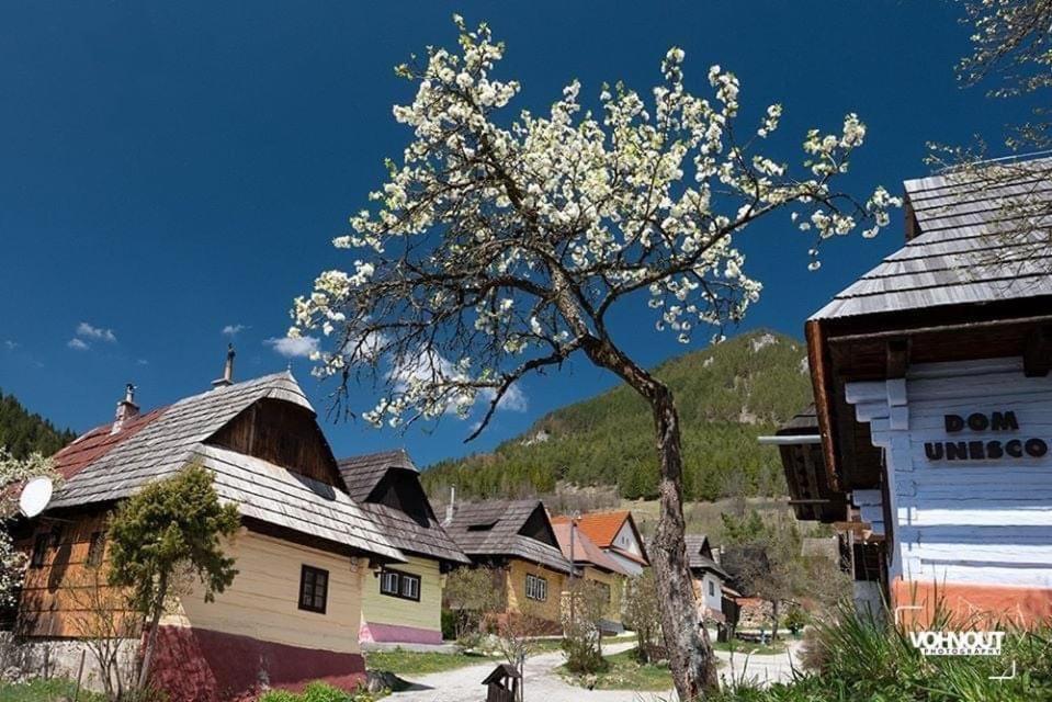 Apartmany - Helena 15 A Helena 21 Hrabovo Ruzomberok Buitenkant foto